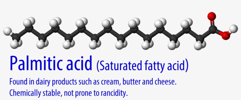 The White Balls Are Hydrogen, The Black Are Carbon, - Saturated Fat Molecule Model, transparent png