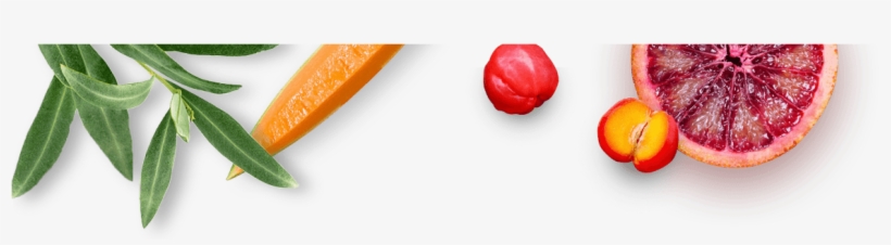 2017 - - Vegetable, transparent png