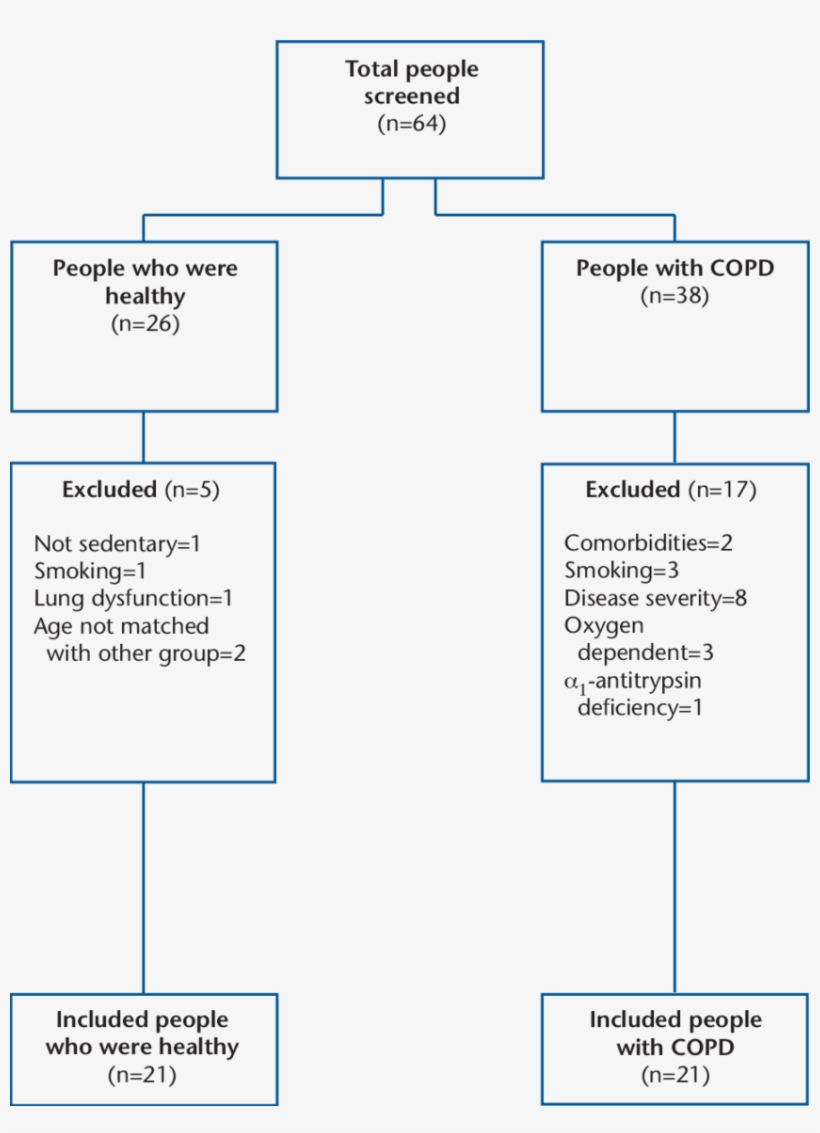 Consort Diagram Showing The Recruitment Process And - Consolidated Standards Of Reporting Trials, transparent png