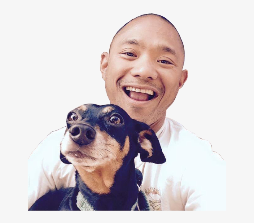 11329901 829708153776855 1446044594404932477 N - Companion Dog, transparent png