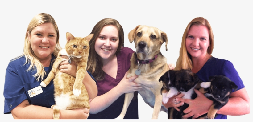 And Your Family Deserves The Best Care Possible - Redondo Veterinary Medical Center, transparent png