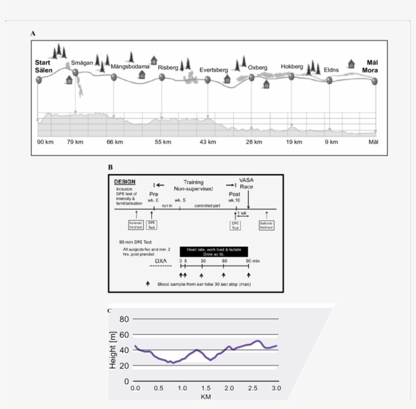 Race And Elevation Profile Of The 91 Km Ski Race Vasaloppet - Vasaloppet, transparent png