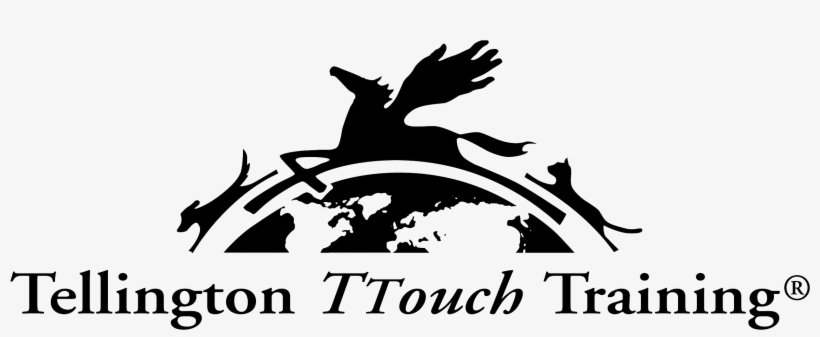 Join The Canine Confidence Club - Tellington Ttouch Training, transparent png