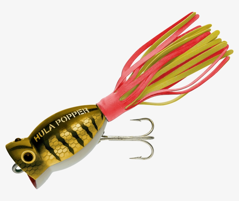 Brown Parrot W/red & Yellow Skirt - Arbogast Hula Popper G770 Brown Parrot W/ Red &, transparent png