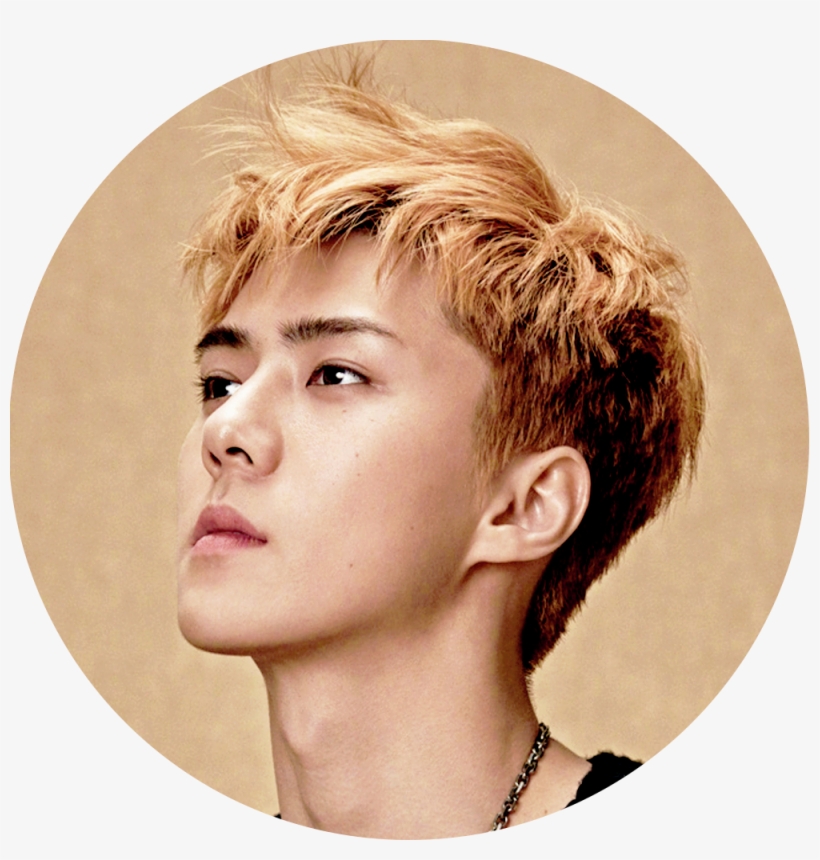 [edit/icon] Superelle - Sehun Superelle, transparent png