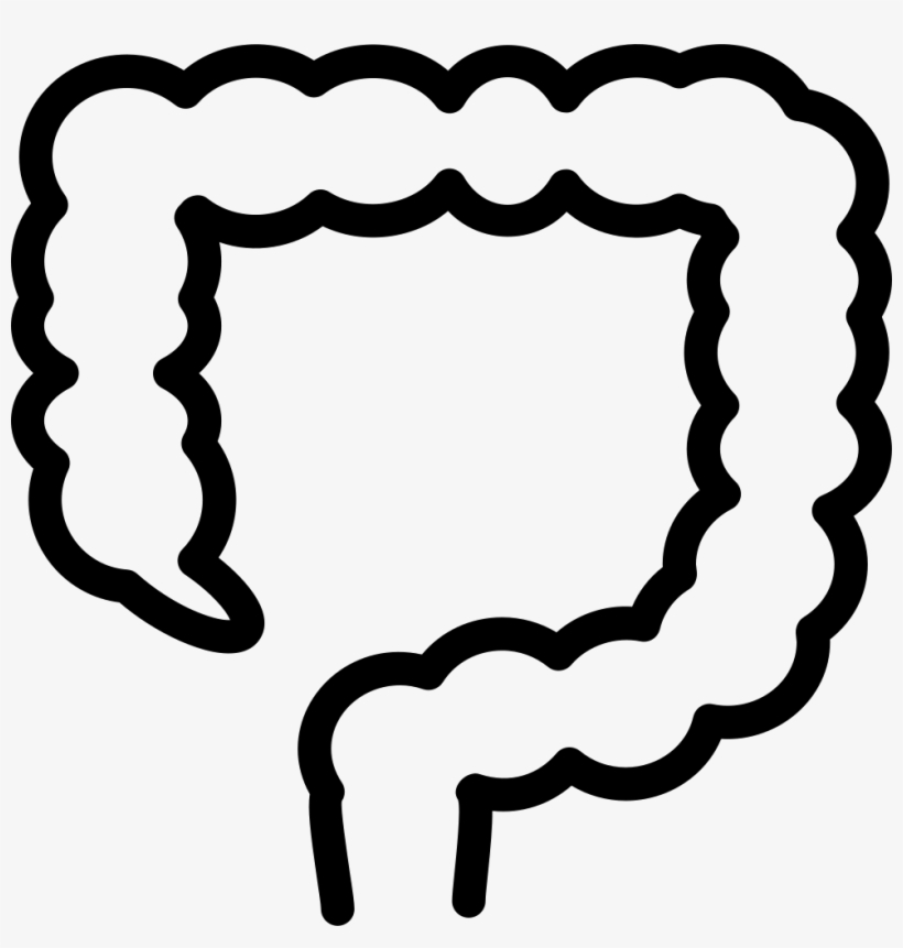 Png File Svg, transparent png