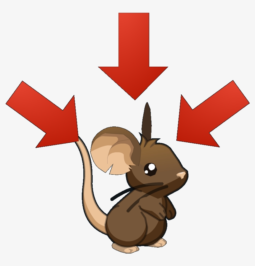 Passe Par Là - Transformice Mouse, transparent png