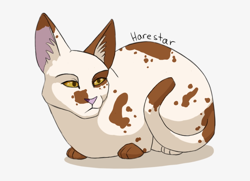 22 - Harestar - Warriors, transparent png