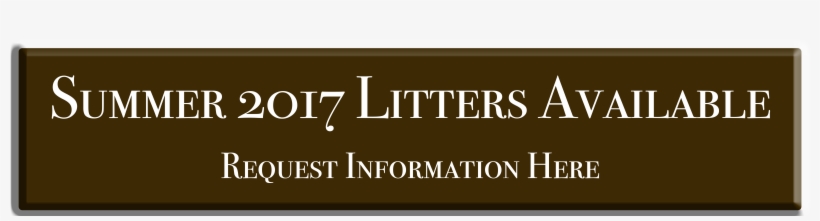Summer 2017 Litters Request Info Button, transparent png