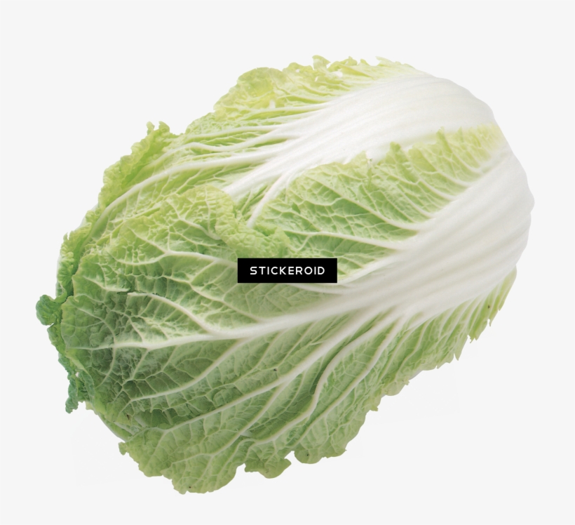 Salad - 包 心 白菜, transparent png