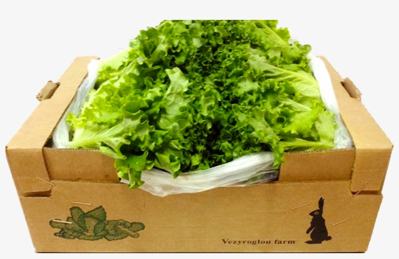 Batavia 6 Kg - Leaf Vegetable, transparent png