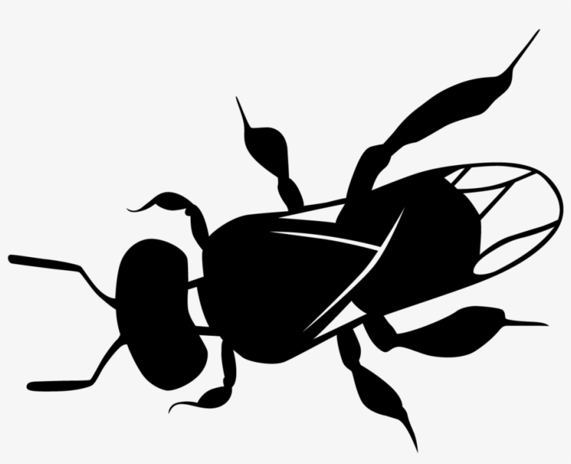 Clipart Bee Path - Stingless Bee Art, transparent png