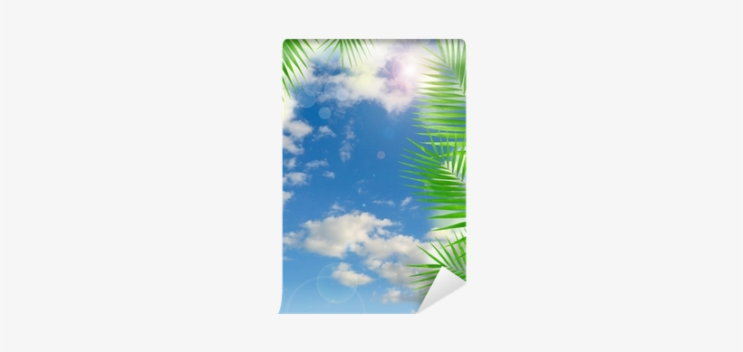 Tropical Background With Lens Flare Effect Wall Mural - Light Switch, transparent png