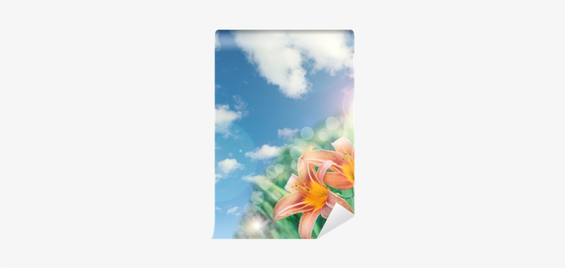 Beautiful Lily Flowers Background With Lens Flare Effect - Clip Art, transparent png