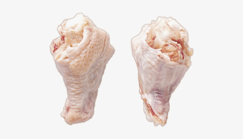 Conch, transparent png