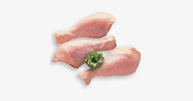 Drumstick Fresh Chicken Png - Raw Chicken Parts Png, transparent png