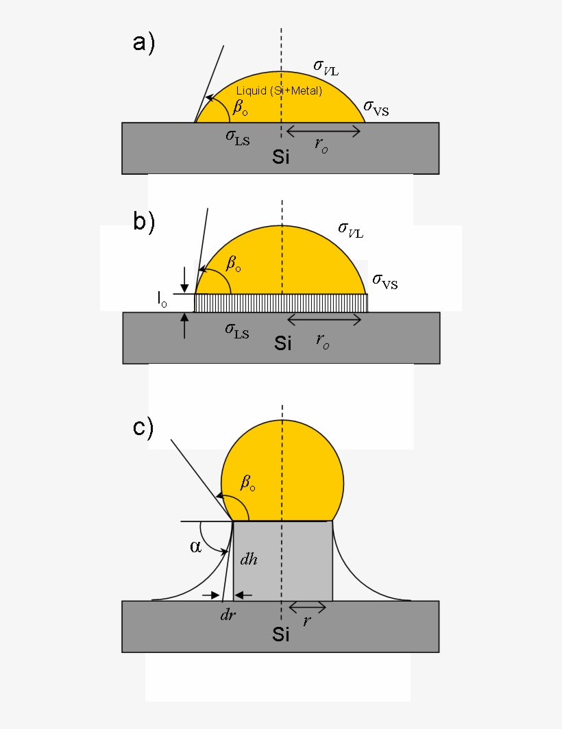 Au-si Droplet Catalyzing Whisker Growth - Diagram, transparent png