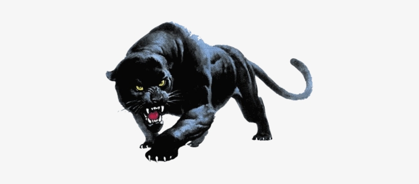 Panther Fighting Png - Devon Meadows Football Club, transparent png