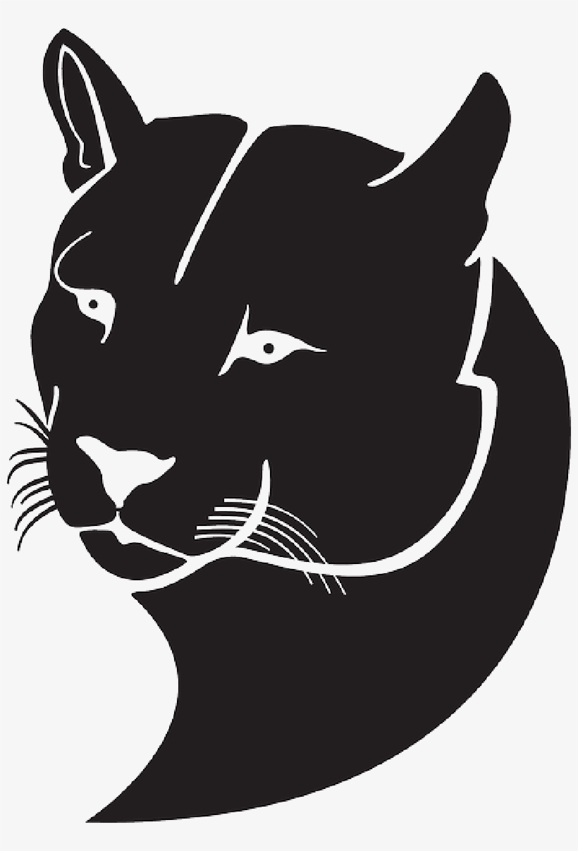 05 Mb Image - Pumas Clip Art, transparent png