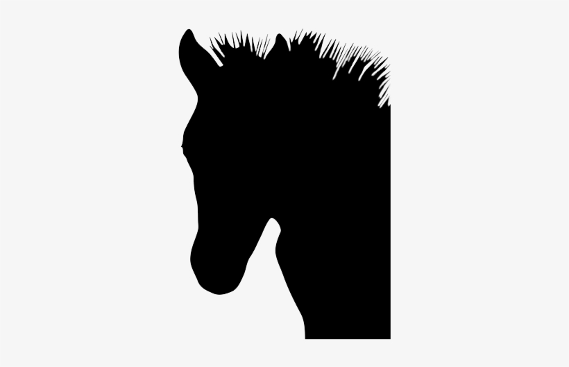 Head Of Foal - Horse, transparent png