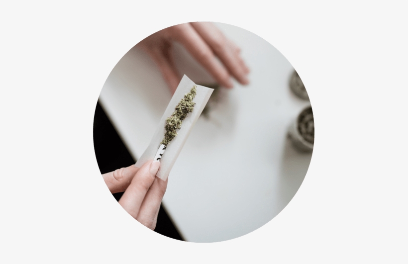 The Rush To Legalize Marijuana Image Female Hands Rolling - Best Quality Weed India, transparent png