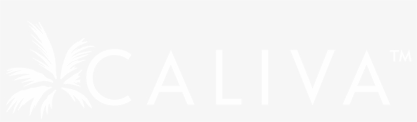 Caliva Wordmark Horizontal White 1200px - Ps4 Logo White Transparent, transparent png
