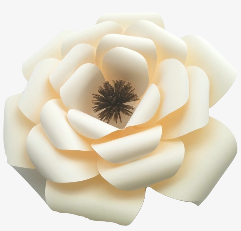 [paper Flower] [paper Flower Sets] [decor In The Box][ 1016x924 PNG