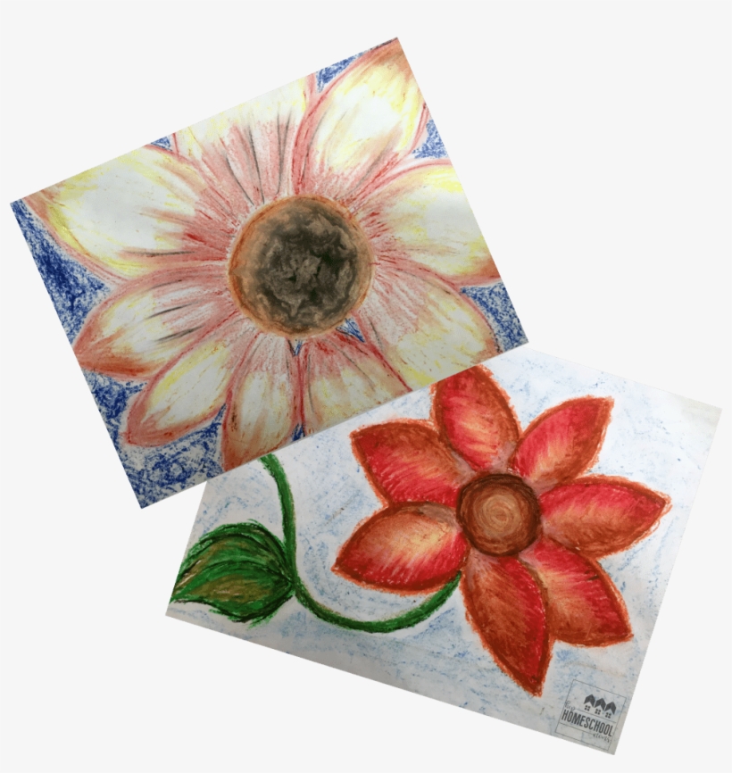 Above You Can See Our Projects From A Lesson That Taught - Artificial Flower, transparent png