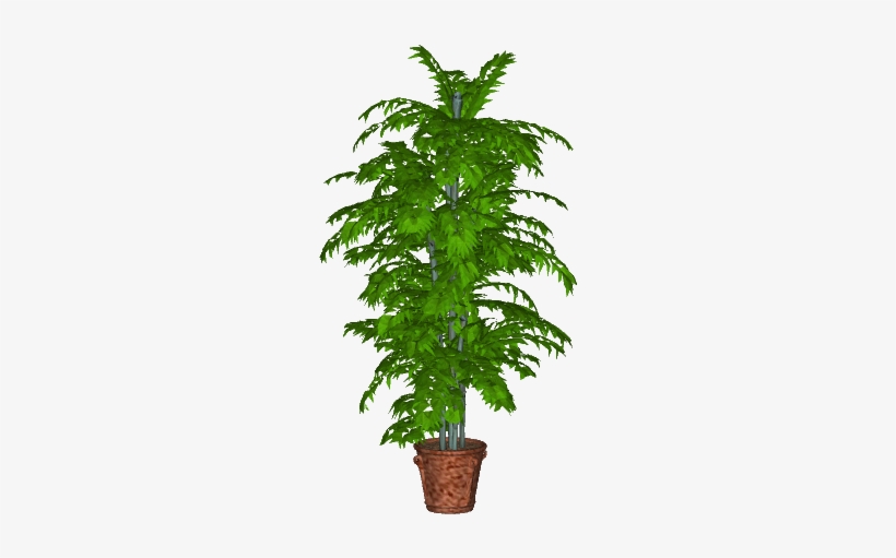 Potted Plant -0 - Houseplant, transparent png