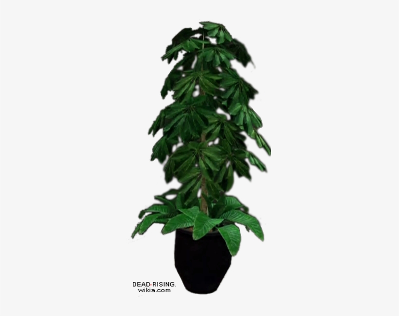 Dead Rising Potted Plant 3 - Potted Plant, transparent png