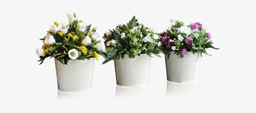 Potted Plants And Flowers Png - Flowers In Pot Png, transparent png