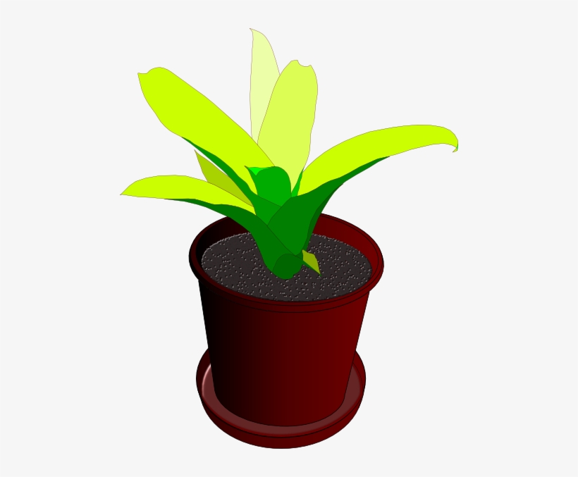 How To Set Use Potted Plant Clipart, transparent png
