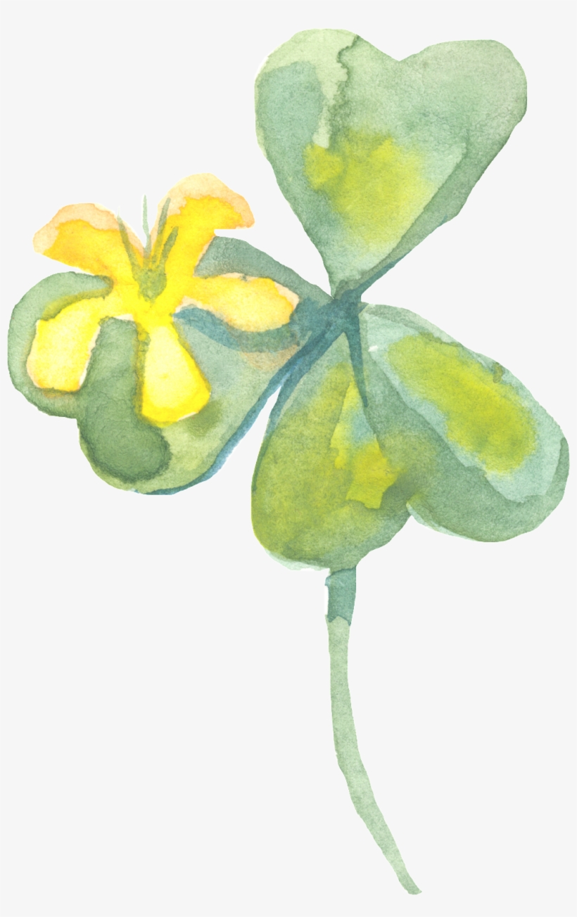 Plant Transparent Ornament Vector In Spring - Watercolor Painting, transparent png