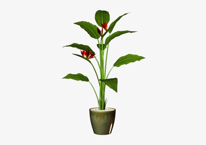 Garden Pot Plant - Pot Plant Png, transparent png