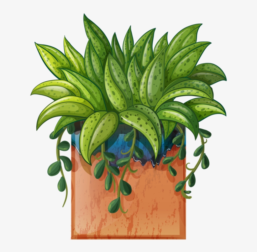 Pot Plant Clipart Beautiful Flower Pencil And In Color - Transparent Potted Plants Clipart Hd, transparent png