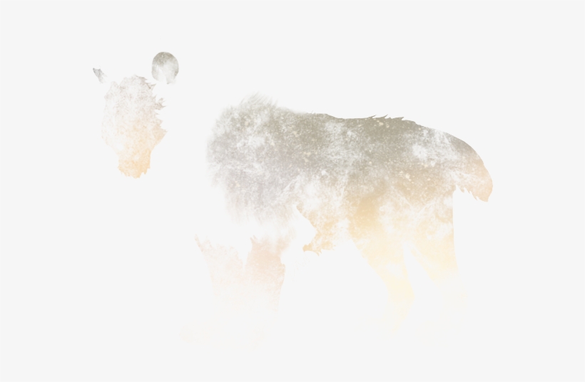 Sketch, transparent png