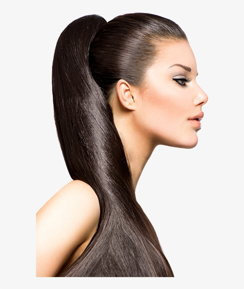 Our Prices - Pony Tail Hair, transparent png