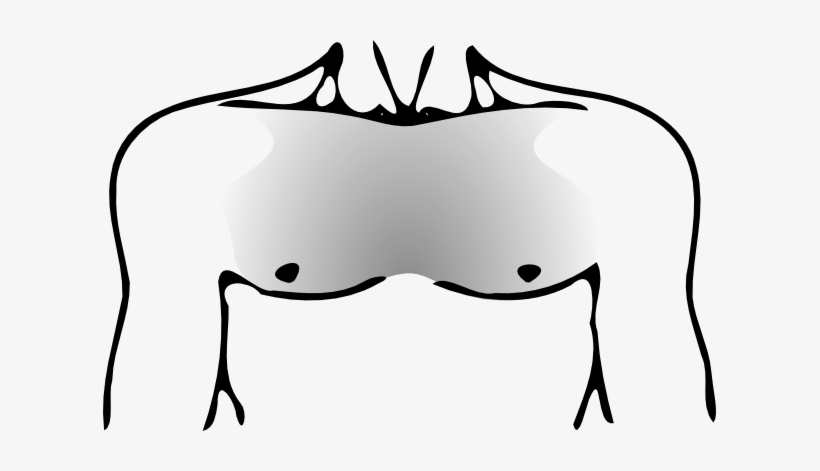 Human Chest Png, transparent png