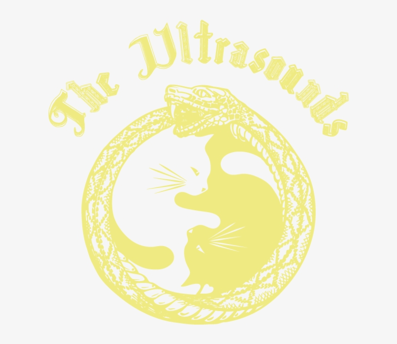 The Ultrasounds - Vintage Two Yin Yang Cats Necklace Pendant Kolye Cabochon, transparent png