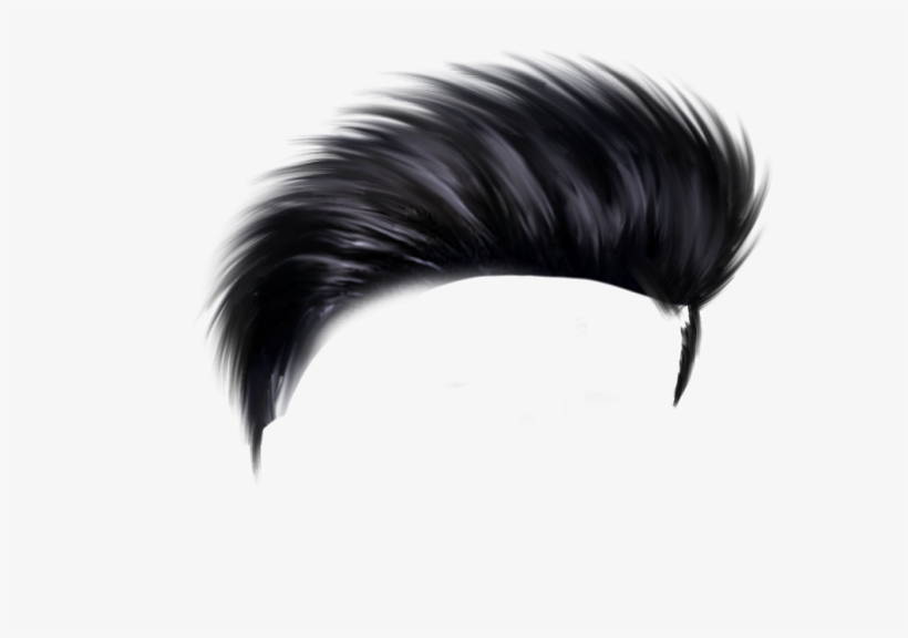 Hair Png - Feather, transparent png