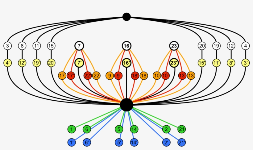 Cycle Graph, transparent png