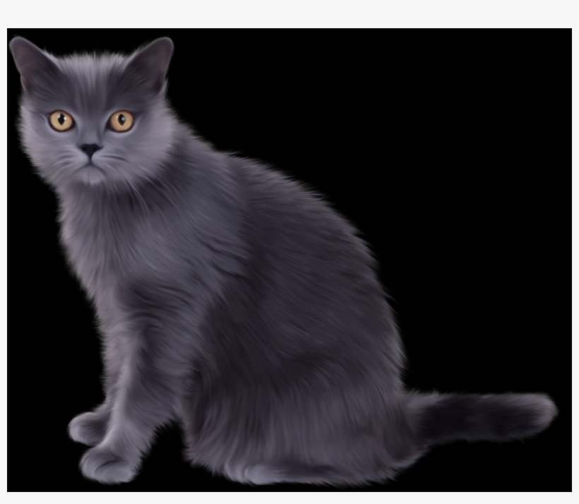Free Cat Png Images - Party, transparent png