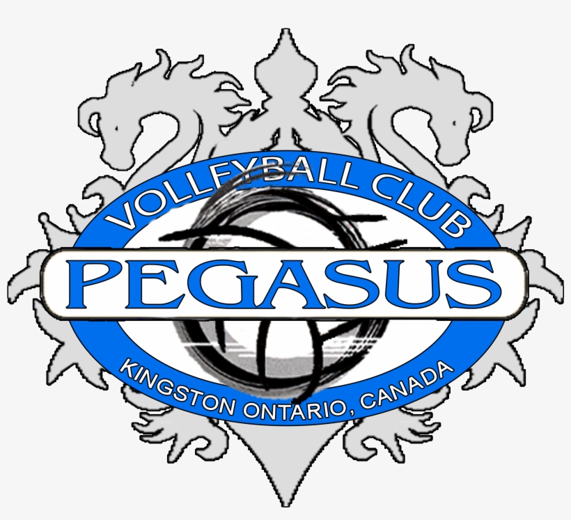 Beach Volleyball, transparent png