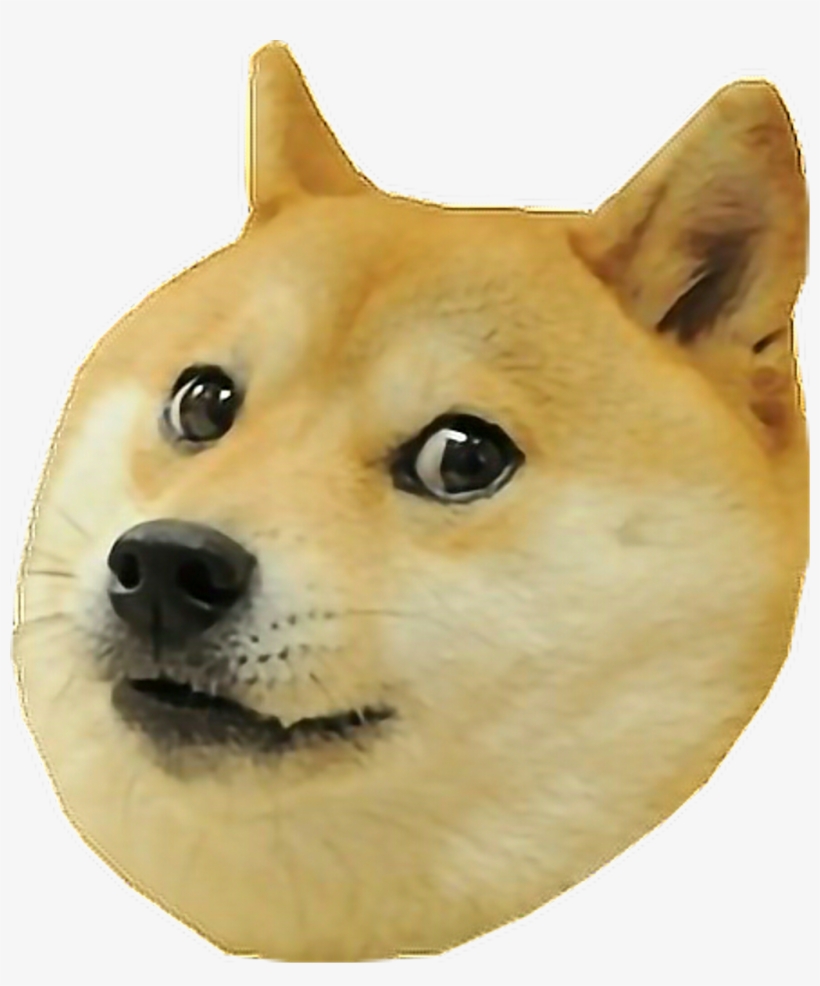 Doge Dog Doge Meme Memesfreetoedit, transparent png
