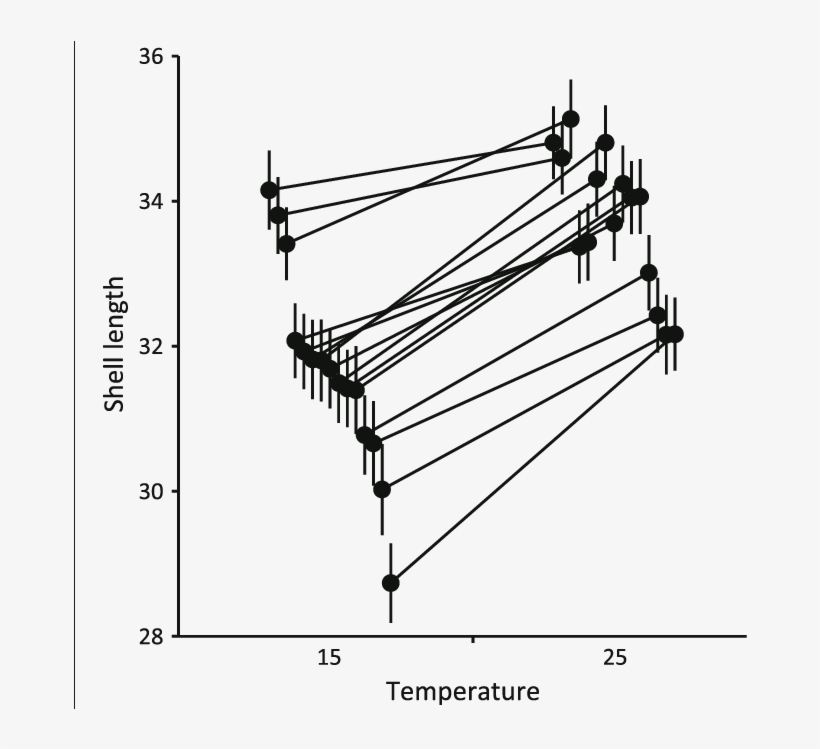 Shell Length Of L - Fig.1, transparent png