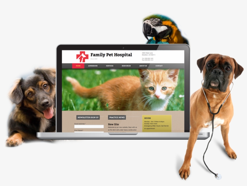 Compassion & Knowledge For Your Pets, Paw-fected - Friends Playing Dog Cat Funny 32x24 Print Poster, transparent png
