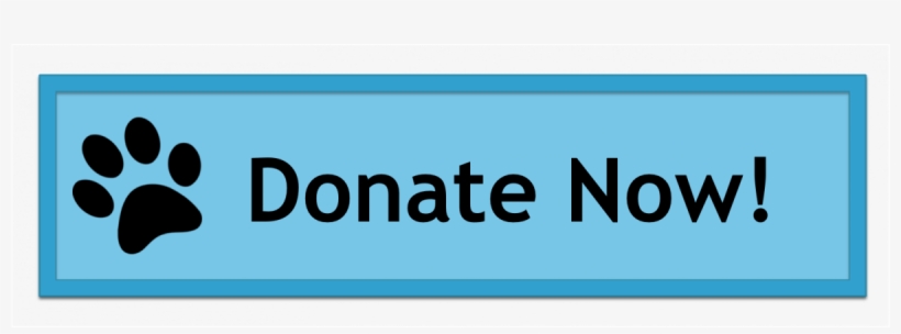 Dog Shelter - Yamaha Eph-c300 Black In-ear Headphones, transparent png