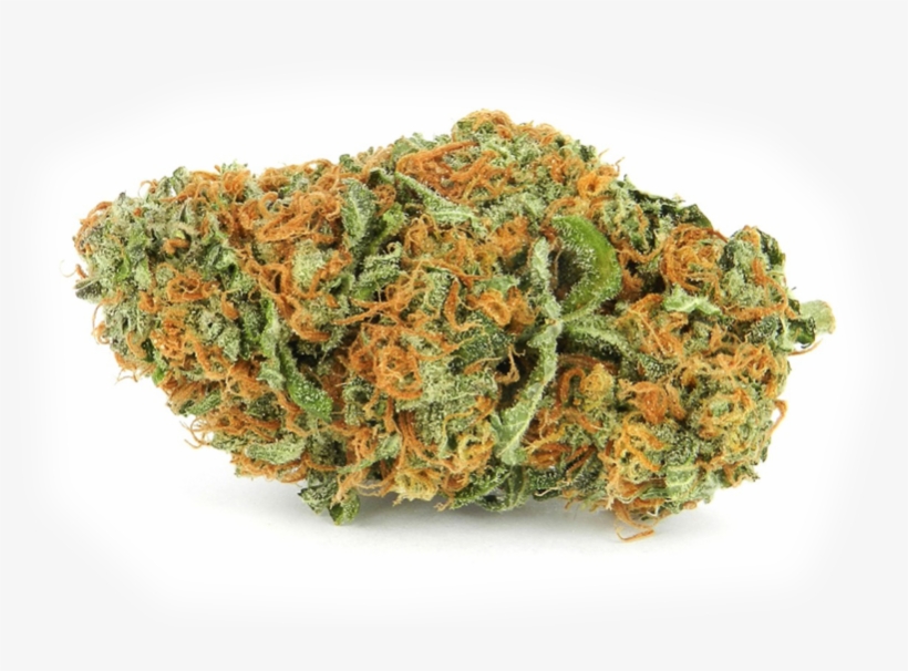 Tutte Le Varietà Ed Aziende Italiane - Ammi Weed, transparent png