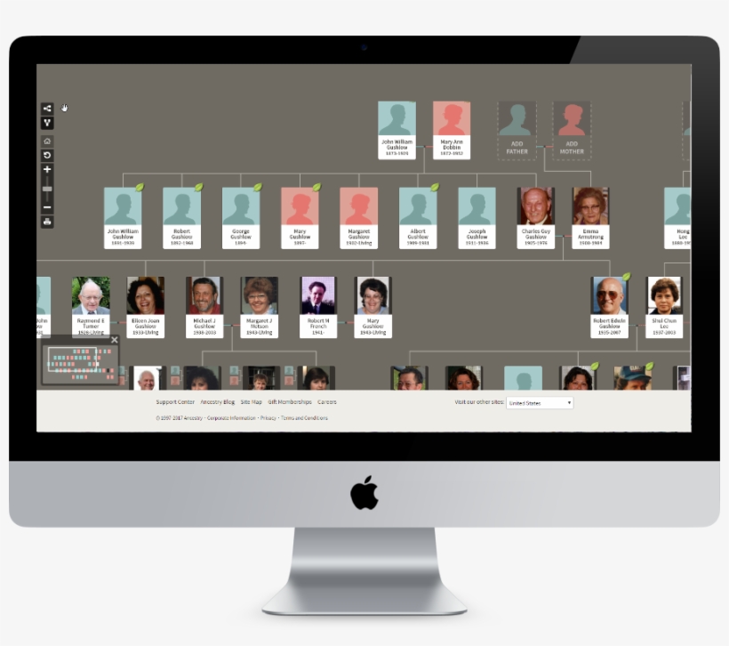 Old Family Tree Site - Social Feed On Website, transparent png