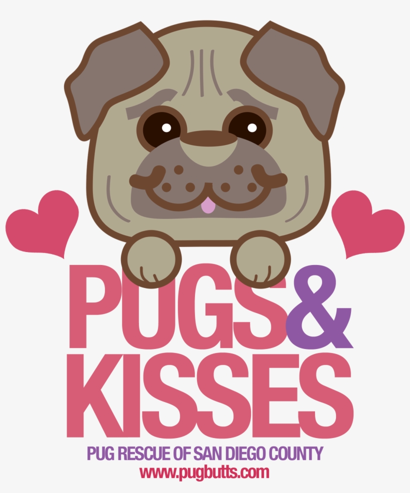Plan To Join Pug Rescue On Saturday, February 9th For - Pug, transparent png